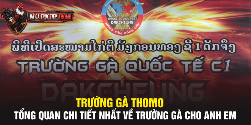 Trường Gà Thomo – Full Thông Tin A–Z Cho Anh Em 2025