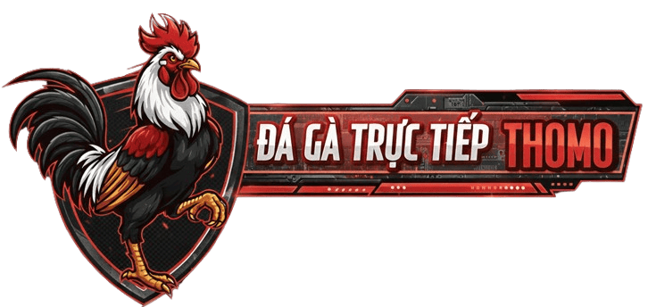 XEM ĐÁ GÀ TRỰC TIẾP THOMO HÔM NAY – DAGATRUCTIEPTHOMO.TV
